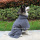 Microfiber Pet Bath Towel Big Dog Bath Robe